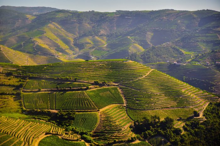 A journey up the dramatic Douro River is an opportunity to delve into the rich history and traditions of the Portuguese heartland, discovers Nick Walton.