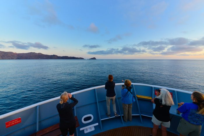 Set sail on a journey of discovery with Lindblad Expeditions-National Geographic on Mexico’s Sea of Cortez, home to some of the greatest biodiversity in the Pacific. Words & Photos by Nick Walton.