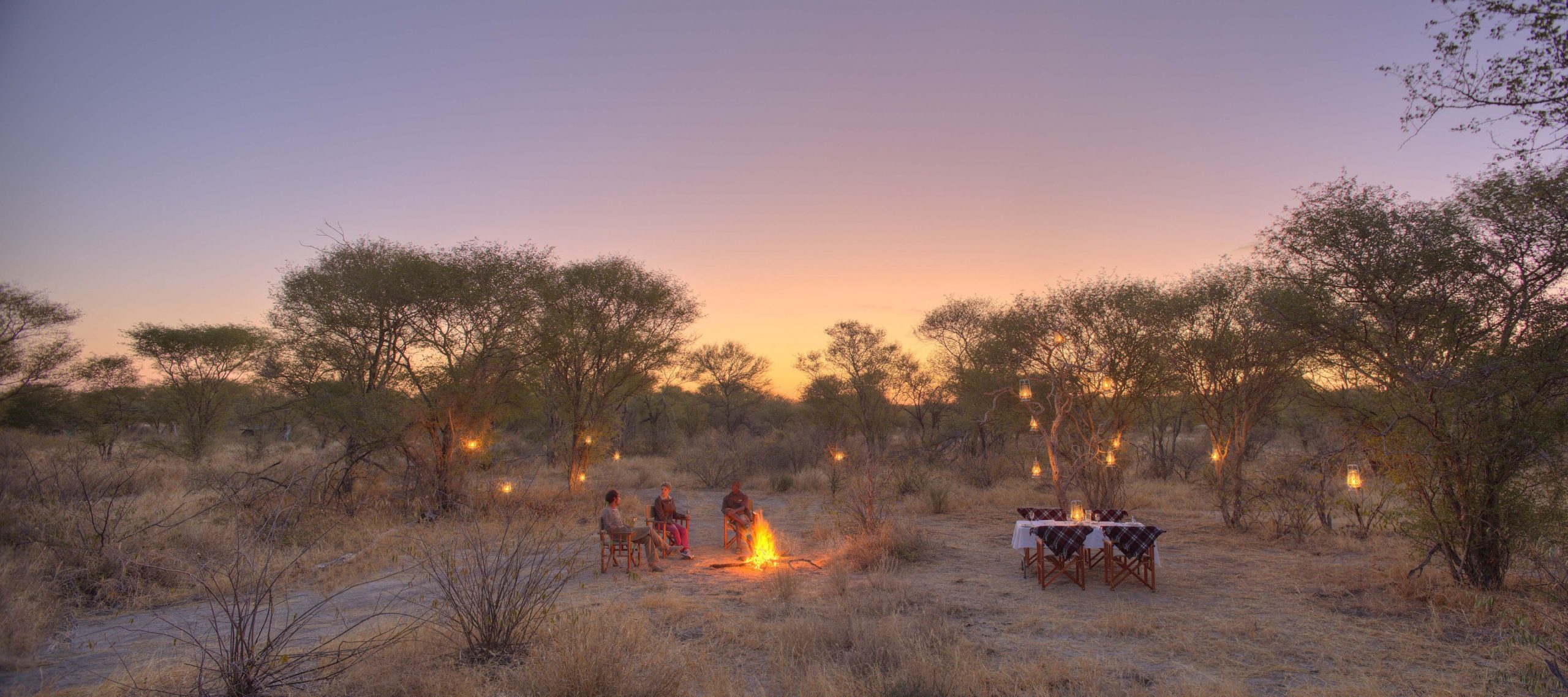 With a raft of exciting new safari camps and lodges poised to open, there’s no better time to explore Africa’s diverse and mesmerizing landscapes.
