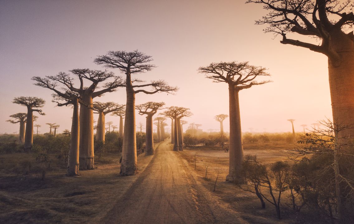 Luxury travel specialists Luxtripper has created three new conservation-focused itineraries that explore the fascinating island of Madagascar.