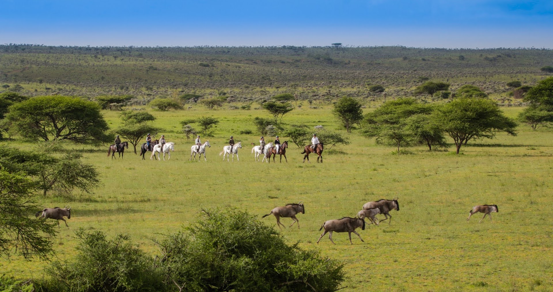 Exploring the Kenyan savannahs on an ol Donyp Lodge horseback safari is a truly thrilling experience and a unique alternative to game drives. 