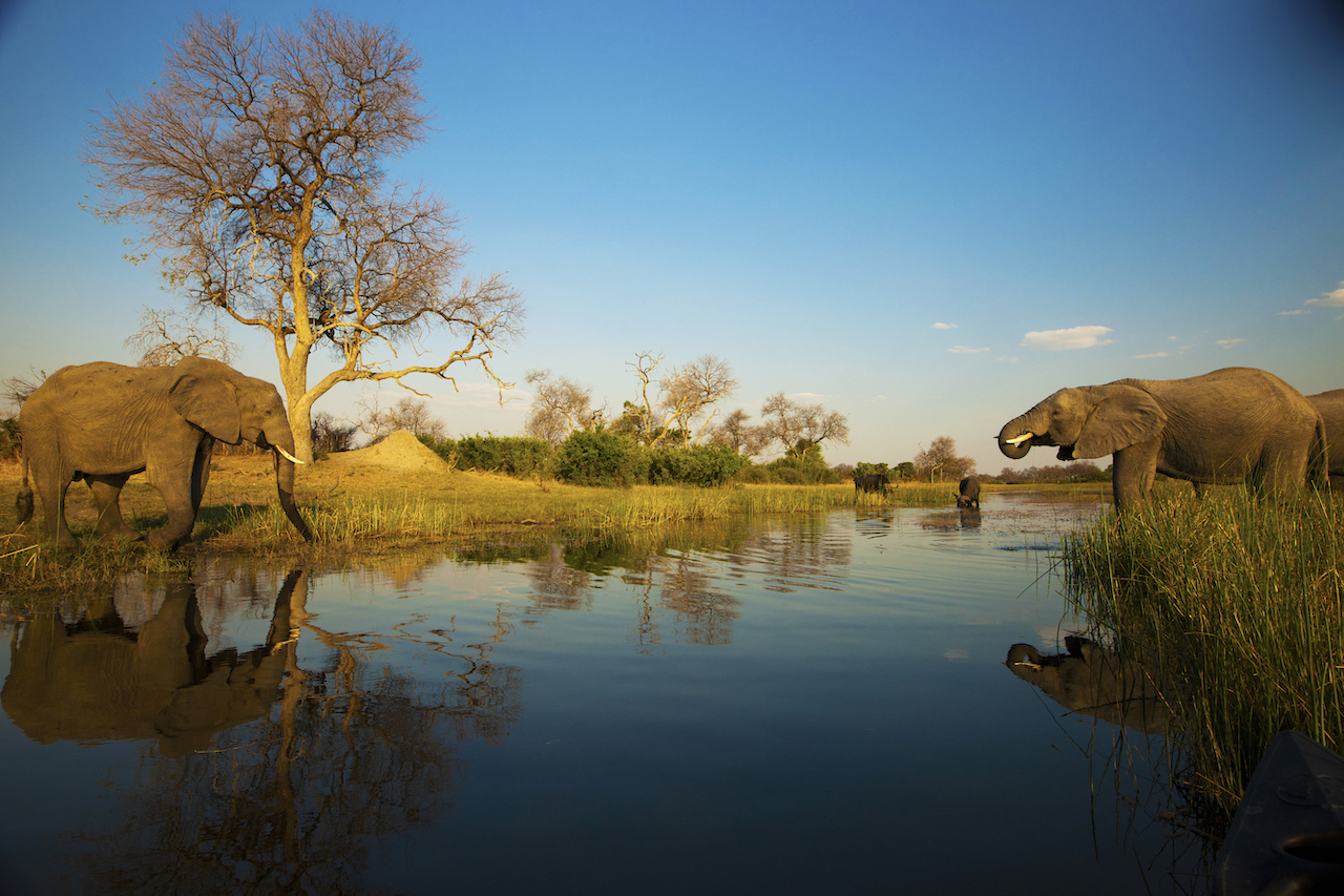 Launching with Botswana, a country of diverse beauty and outstanding wildlife, Great Plains Expeditions - Botswana will bring guests back to true remoteness and pristine wilderness for an exclusive journey of discovery. 