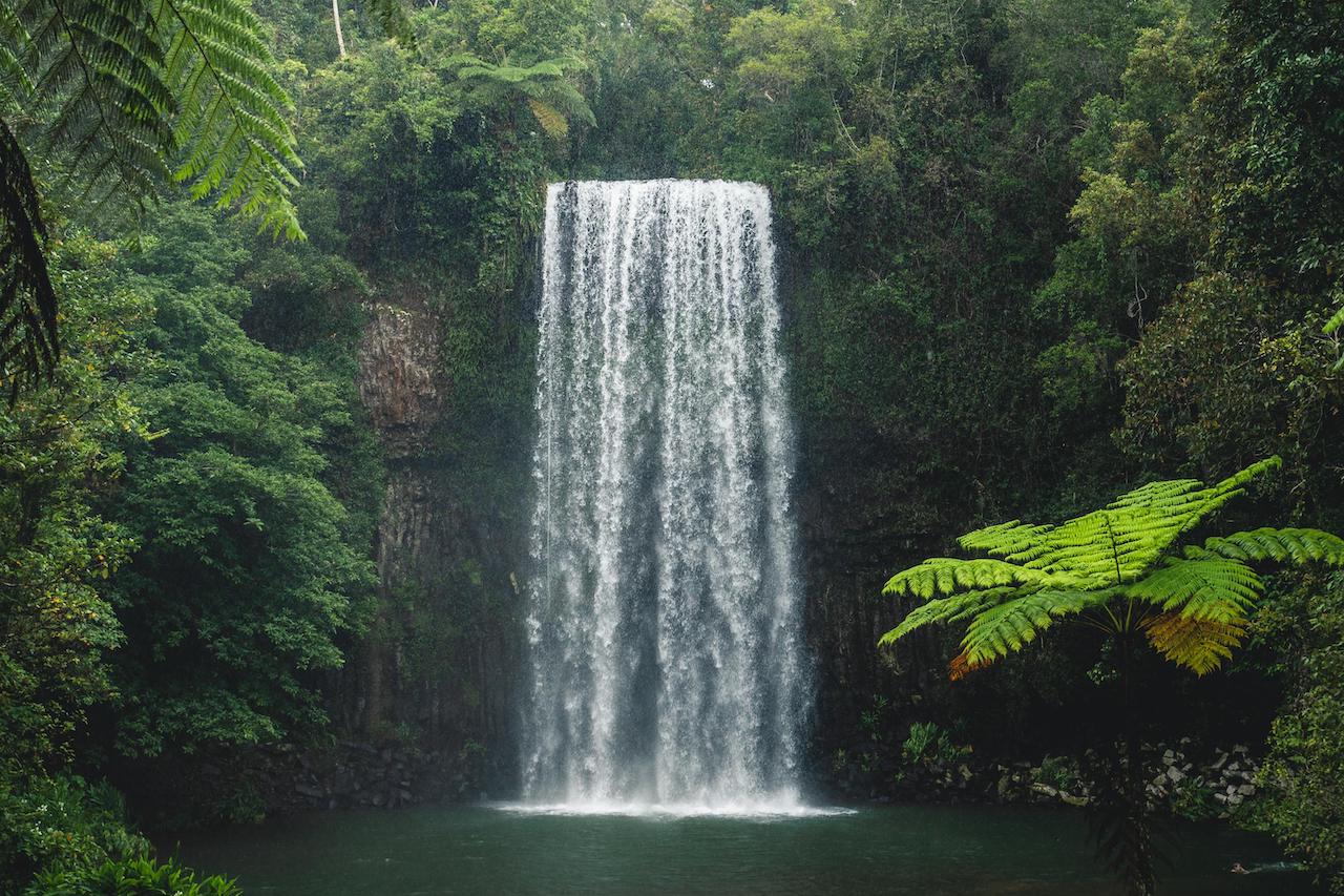If a visit to Australia is high on your post-Covid to-do list, be sure to leave time to explore the Atherton Tablelands, one North Queensland's best-kept secrets.