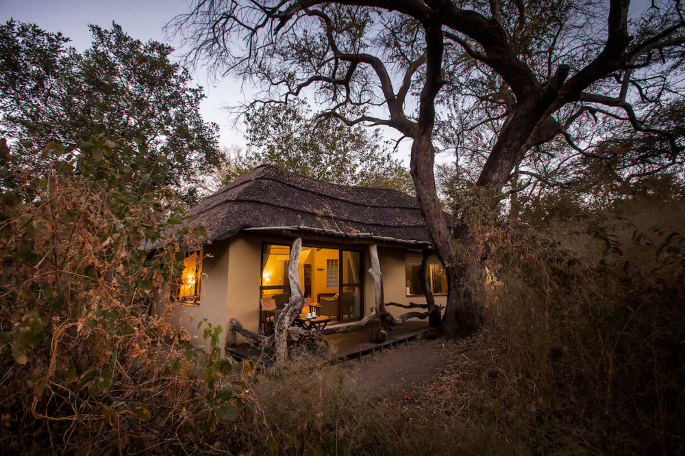 Nature Selection Safaris welcomes back its intimate Thamo Telele tented camp in Botswana's Okavango Delta after an extensive refurbishment.