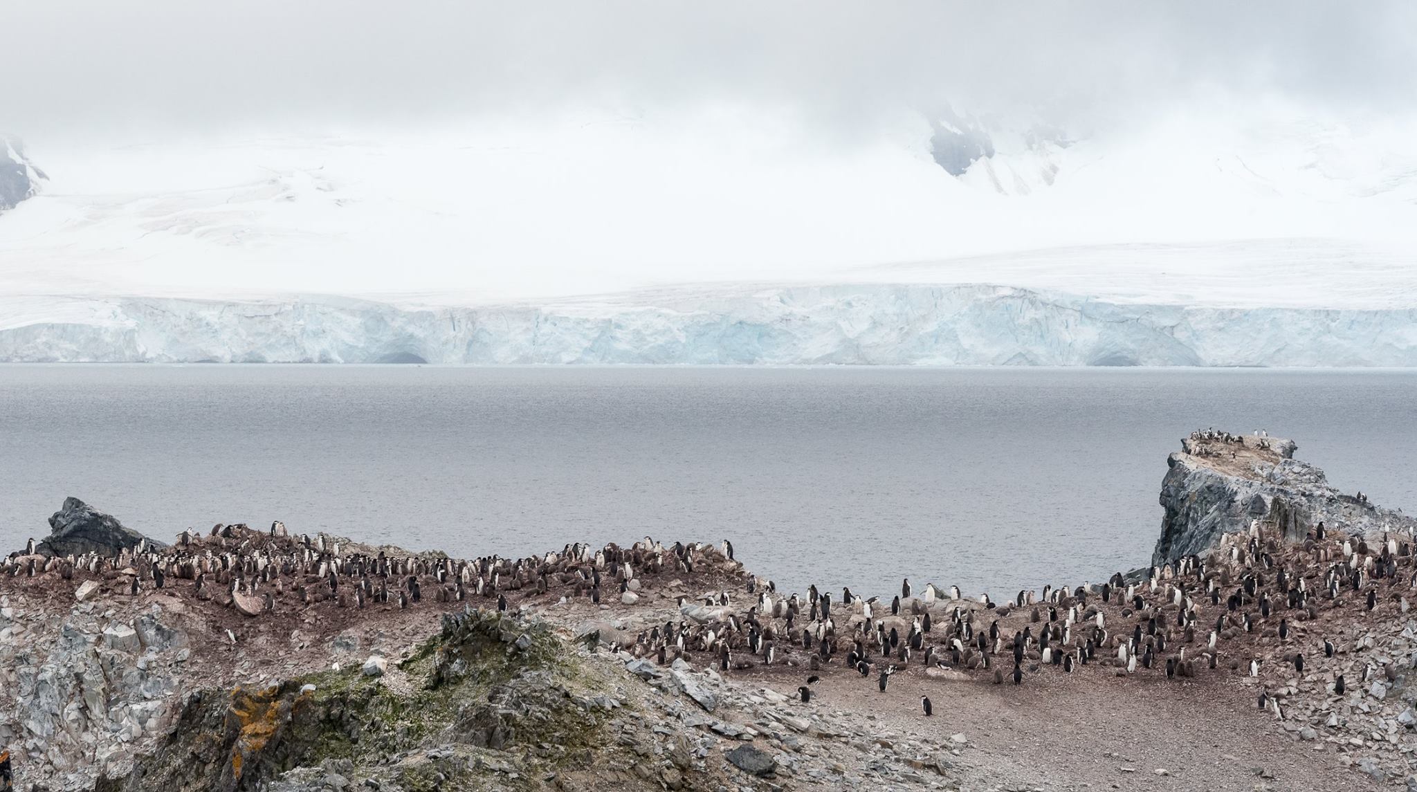 With demand for Antarctic cruises at an all-time high - experts refer to this surge in popularity as 'the Sir David Attenborough effect' - these are the top seven penguin spotting cruise locations. 
