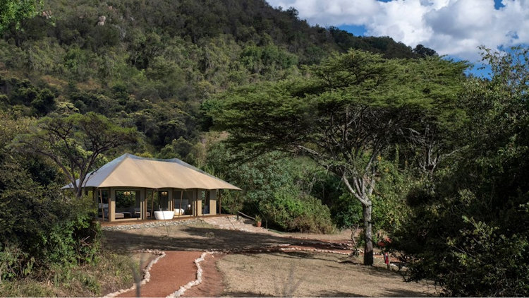 Award-winning Cottar’s Safaris has added new luxury double tents at Cottar’s 1920s Camp, as well as two fully renovated double tents, just in time for The Great Migration.