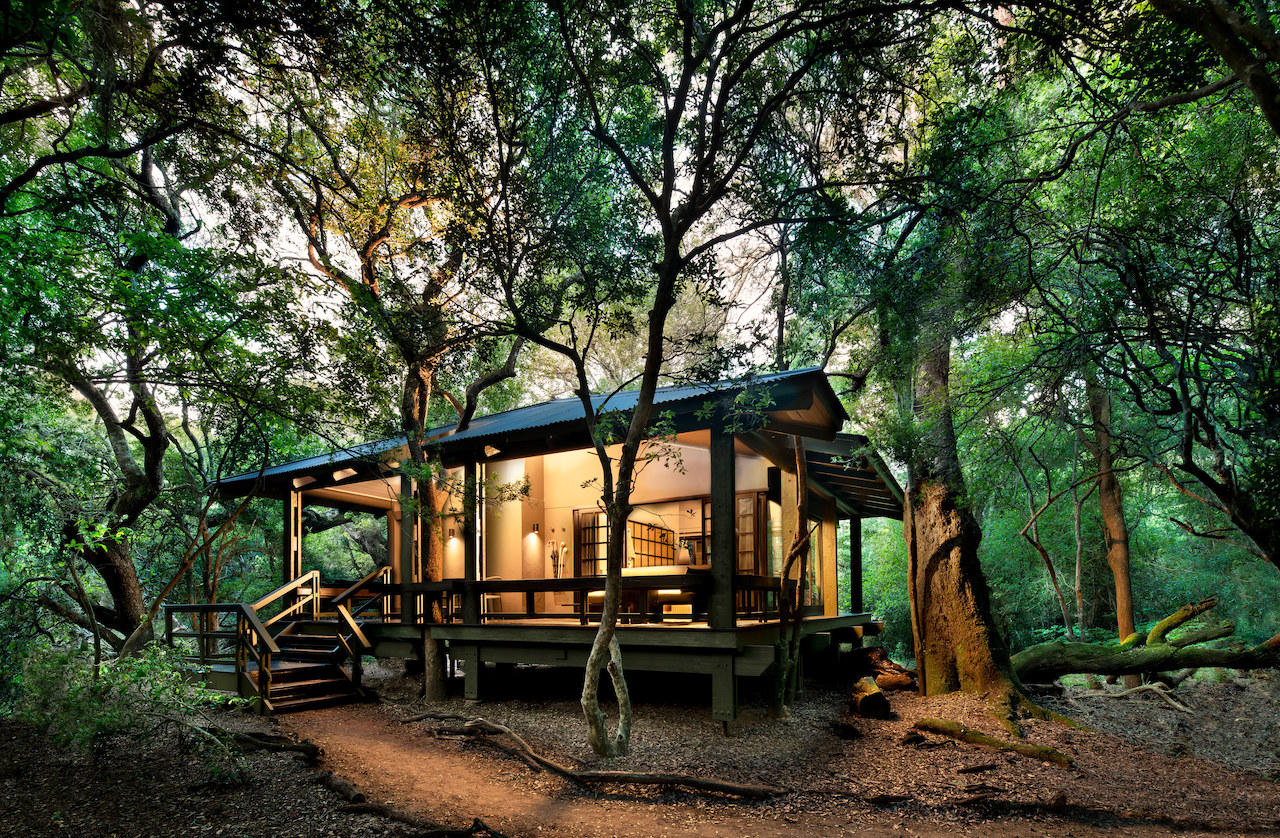 Andbeyond Phinda Forest Lodge reopens in the heart of a rare sand forest in Northern South Africa.  